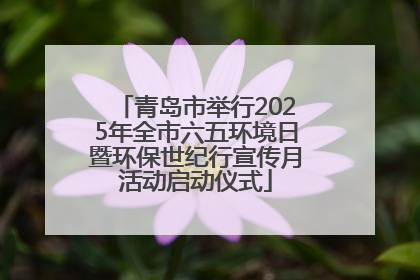 青岛市举行2025年全市六五环境日暨环保世纪行宣传月活动启动仪式